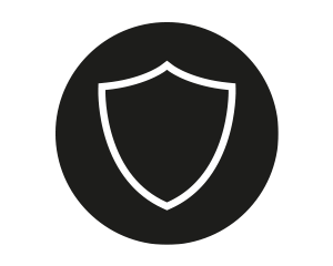 icon-protecting-300x240